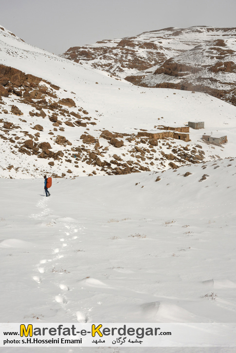 چشمه گرگان